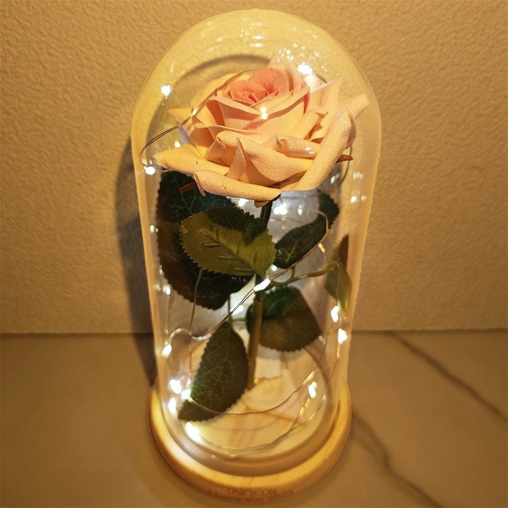 Anniversary & Valentine's Day Gifts For Mom Women, Personalized Rose Lamp, Mother's Day, Birthday Presents For Mom,Girlfriends & Wives Handmade Roses Flowers Galaxy Eternal Enchanted Rose Glass Dome With Message 1F - uniqicon