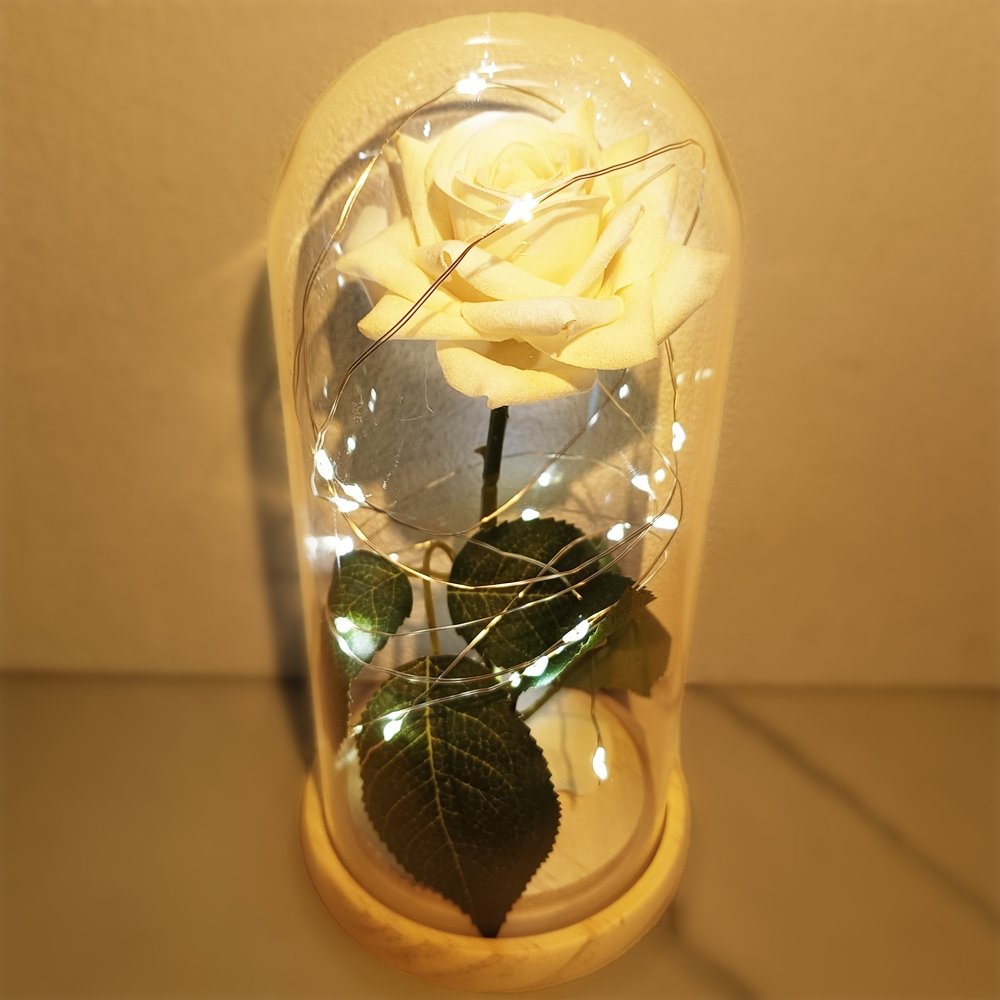 Anniversary & Valentine's Day Gifts For Mom Women, Personalized Rose Lamp, Mother's Day, Birthday Presents For Mom,Girlfriends & Wives Handmade Roses Flowers Galaxy Eternal Enchanted Rose Glass Dome With Message 1F - uniqicon